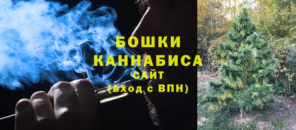 спайс Баксан