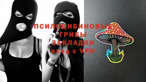 спайс Баксан