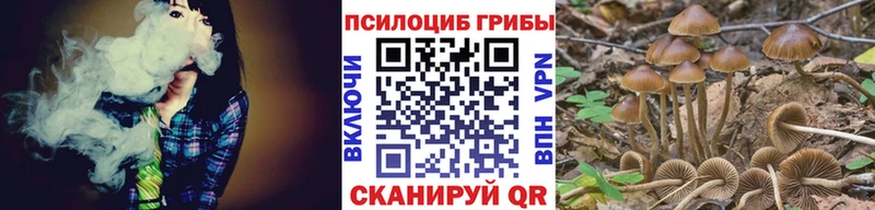 Псилоцибиновые грибы Magic Shrooms  блэк спрут ССЫЛКА  Краснокаменск 
