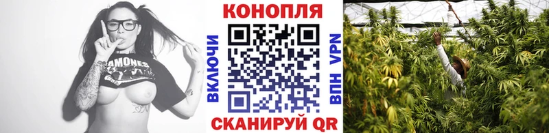 Конопля планчик где продают Краснокаменск